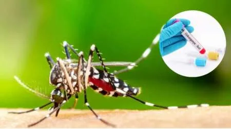 Confirman el primer caso de fiebre Chikungunya de la temporada en Salta