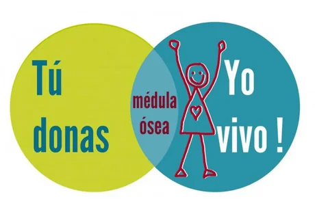 En Salta hay más de 10 mil donantes de Médula Ósea