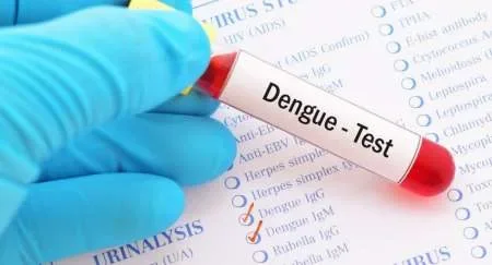 Desde octubre, hasta la fecha, se registraron 1435 casos de dengue en Salta