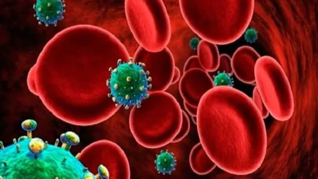 Eliminaron el HIV del genoma de animales vivos