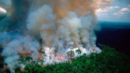 Voraz incendio en la selva amazónica de Brasil
