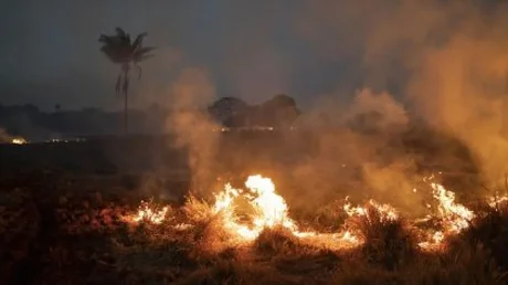 Prohíben por dos meses la quema de campos en Brasil por el Amazonas