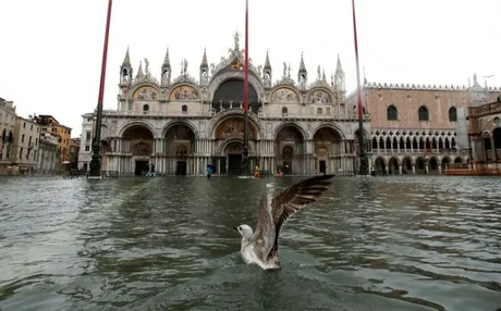 Una creciente marea genera temor en Venecia