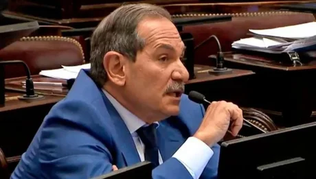 Alperovich presentó el pedido de licencia como senador tras la denuncia de violación