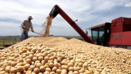El Gobierno aumentará las retenciones a la soja de 30 a 33 por ciento