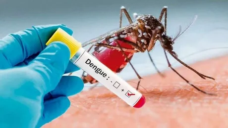 Un adolescente murió por dengue