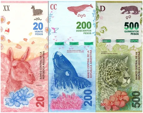 Filtro de Instagram permite que los animales de los billetes argentinos hablen