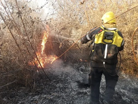 En tres meses se combatieron más de 60 incendios forestales en Salta