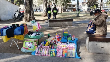 Feria del parque San Martín: concejales extenderán su permiso por 1 año
