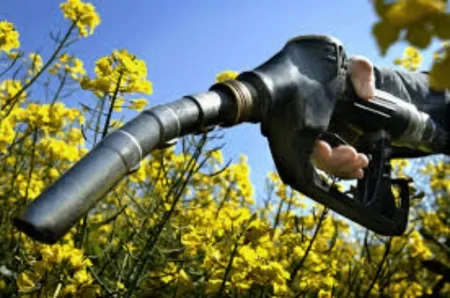 Nación aumentó hasta un 90% el precio del biodiesel