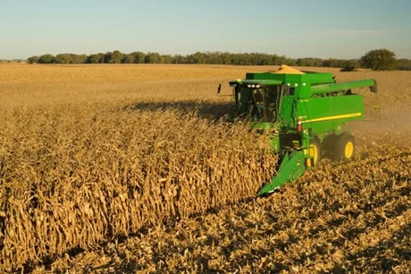 El Gobierno autorizaría la exportación del maíz y se destrabaría el conflicto con el campo