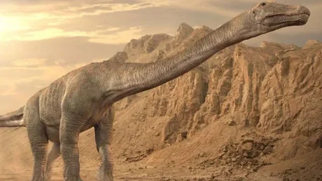 Un dinosaurio encontrado en Argentina sería el más grande de la historia