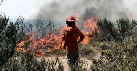 Terror en Río Negro por un incendio que ya arrasó con 6500 hectáreas