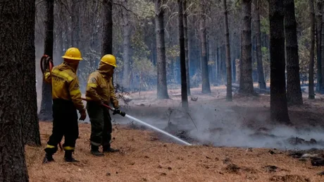 Ofrecen tres millones de pesos para dar con los responsables de los incendios en Chubut