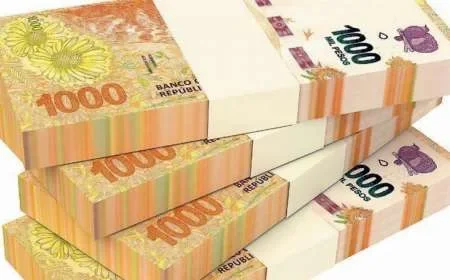 El "impuesto a las grandes ríquezas" generó ingresos por más de 220 millones de pesos