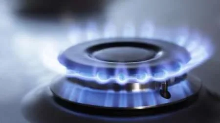 Buscan bajar la tarifa de gas entre un 30 y 50% a varias provincias, entre ellas Salta