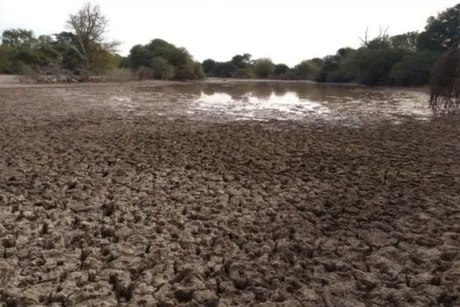 La probabilidad de sequías en Argentina creció a más del 70%