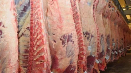 El Gobierno extendió el cepo a la exportación de carne