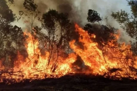Según el INTA se incendió el 9% de Corrientes
