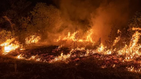 Los incendios se redujeron en un 30% en Corrientes