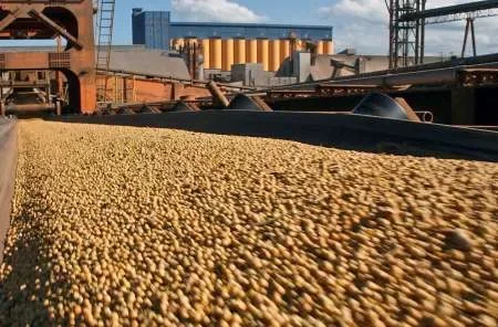 El Gobierno cierra las exportaciones de la harina y el aceite de soja