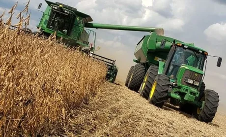 El Gobierno confirmó que no va a subir las retenciones al maíz, la soja y el trigo