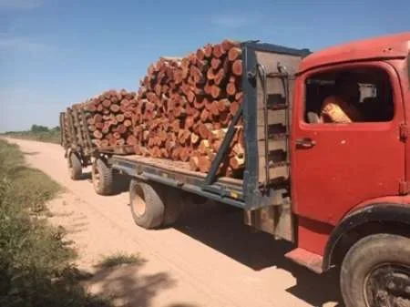 La Policía Rural incautó producto forestal que era trasladado de manera ilegal