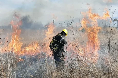 En esta temporada, 165 hectáreas fueron afectadas por incendios en Salta