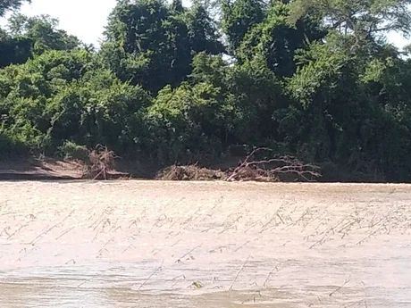 Salteño murió tras ir de pesca al río Bermejo: cayó al agua y sus amigos no pudieron salvarlo