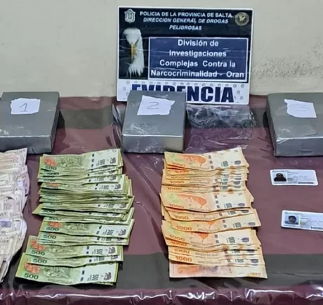 Dos detenidos por el traslado de más de 26 mil dosis de cocaína en Salta