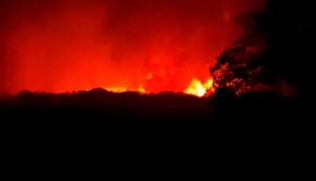 Más de 12 mil hectáreas afectadas por los incendios en el norte de la provincia