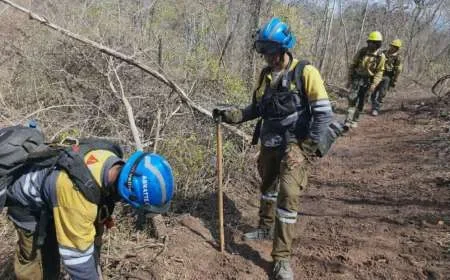 Salta y Jujuy siguen combatiendo los incendios forestales en el norte