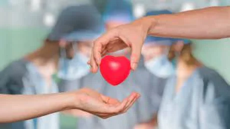 Se cumplen 55 años del primer trasplante de corazón en el mundo