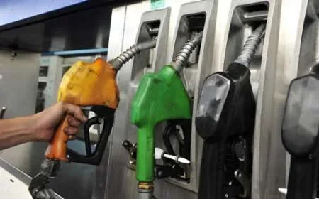 El precio de los combustibles aumentará un 4% de manera mensual hasta agosto