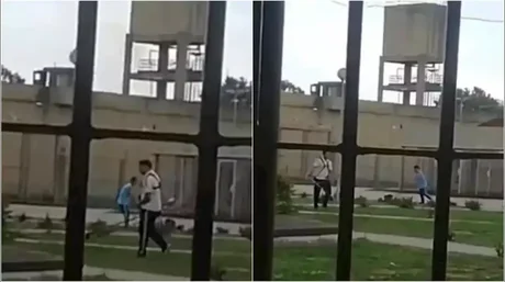 Caso Baez Sosa: Se filtró un video de los rugbiers cortando el pasto y siendo increpados en la cárcel