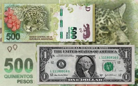 En Salta el dólar blue alcanzó los $500