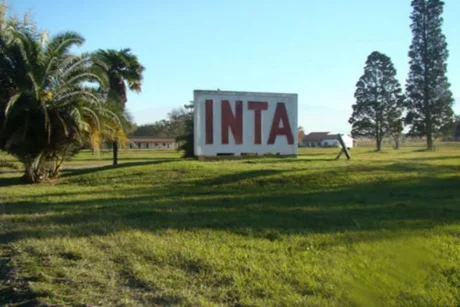 Vuelven a la carga por las tierras del INTA en Salta: Godoy pide su donación para lotear, y Cornejo le dice que “no sabe nada”