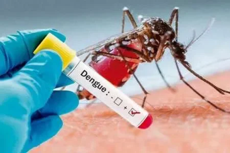 Volvieron a incrementar los casos de dengue en Salta