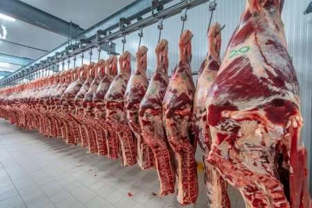 Hubo récord de exportación de carne vacuna durante mayo: El 84% de los envíos fueron a China
