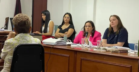 Juicio a los hermanos Castedo: La Fiscal Carreras presentó una recusación al Tribunal por parcialidad