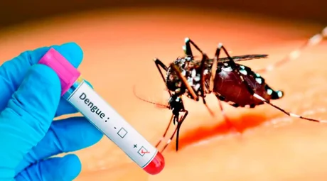 Se confirmó el segundo caso de dengue en Tartagal