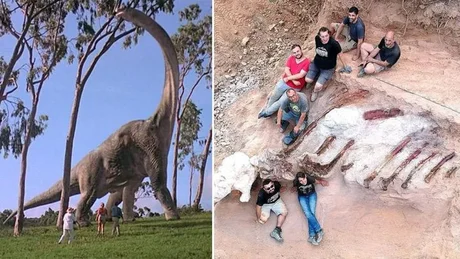 Encuentran en Portugal los restos de lo que sería el dinosaurio más grande de la península ibérica: estaba en el patio de un jardín
