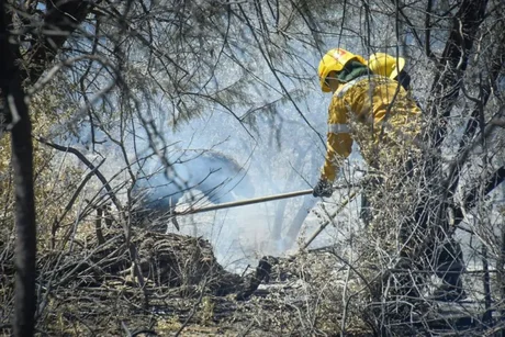 Con más bomberos y recursos, refuerzan el trabajo por el incendio forestal en Cafayate