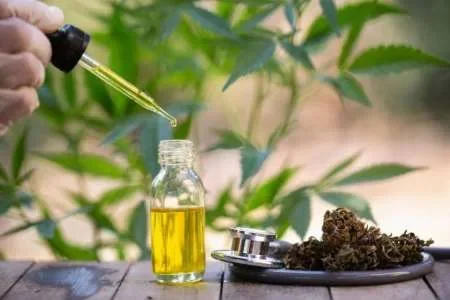 Diputados dio media sanción al proyecto de Ley que busca reglamentar la industria del cannabis medicinal