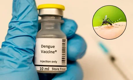 En enero se empezará a administrar la vacuna contra el dengue en Salta