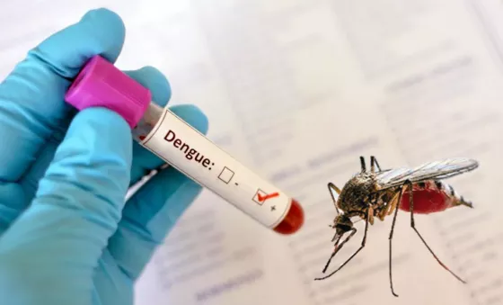 Ya son 16 fallecidos por Dengue y suman más de 9 mil contagios confirmados en Salta