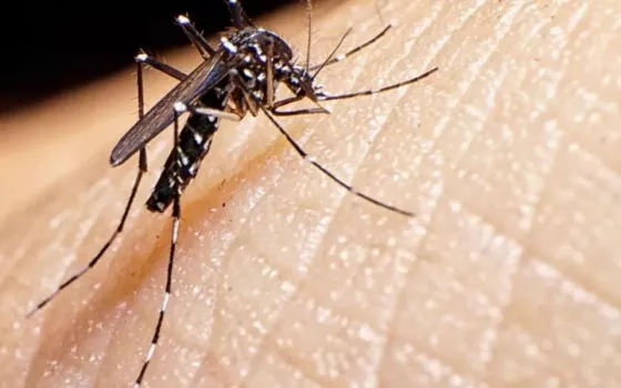 Esta semana se detectaron casi 5 mil casos de dengue y ya hay 23 fallecidos en Salta