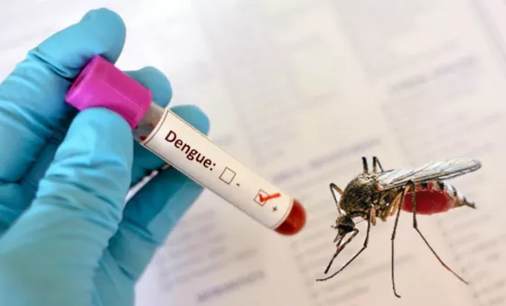 La semana anterior se confirmaron mas de 22 mil los casos de dengue en la provincia